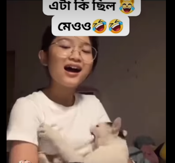 cat video